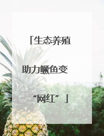 生态养殖助力鳜鱼变“网红”