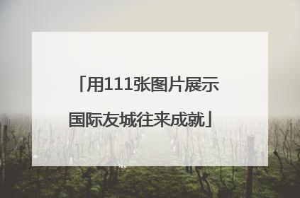 用111张图片展示国际友城往来成就