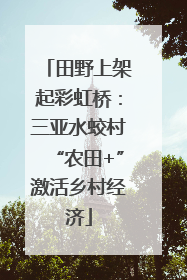 田野上架起彩虹桥：三亚水蛟村“农田+”激活乡村经济