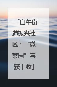 白午街道振兴社区：“微菜园”喜获丰收