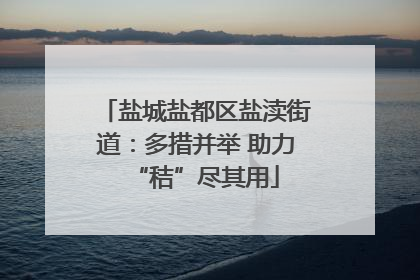 盐城盐都区盐渎街道：多措并举 助力“秸”尽其用