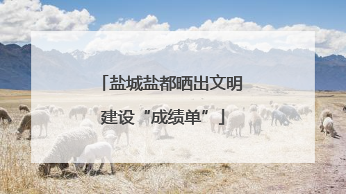 盐城盐都晒出文明建设“成绩单”