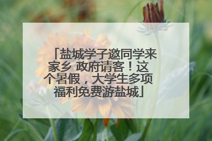 盐城学子邀同学来家乡 政府请客！这个暑假，大学生多项福利免费游盐城