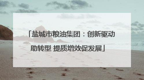 盐城市粮油集团：创新驱动助转型 提质增效促发展
