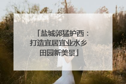 盐城郭猛护西：打造宜居宜业水乡田园新美景