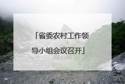 省委农村工作领导小组会议召开