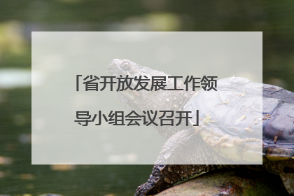 省开放发展工作领导小组会议召开