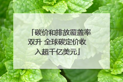 碳价和排放覆盖率双升 全球碳定价收入超千亿美元