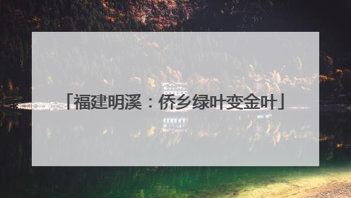 福建明溪：侨乡绿叶变金叶