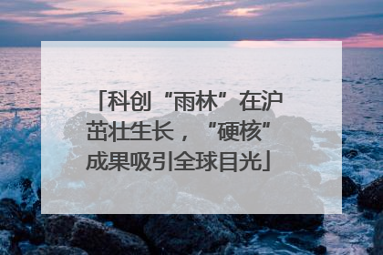 科创“雨林”在沪茁壮生长，“硬核”成果吸引全球目光