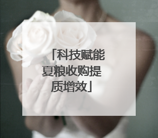 科技赋能夏粮收购提质增效