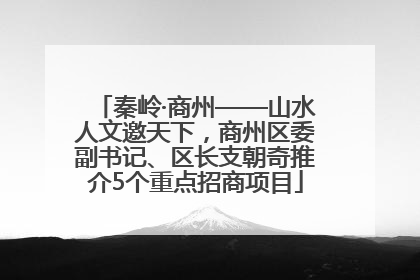 秦岭·商州——山水人文邀天下，商州区委副书记、区长支朝奇推介5个重点招商项目