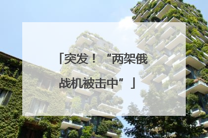 突发！“两架俄战机被击中”