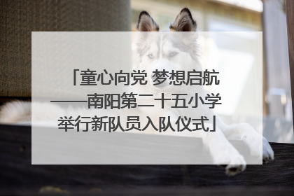 童心向党 梦想启航——南阳第二十五小学举行新队员入队仪式