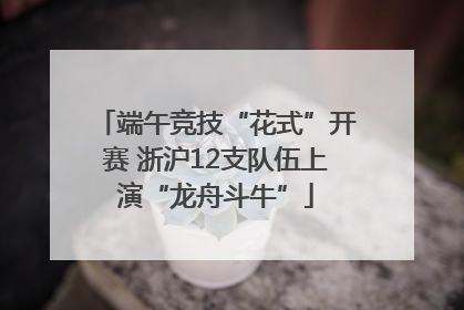 端午竞技“花式”开赛 浙沪12支队伍上演“龙舟斗牛”