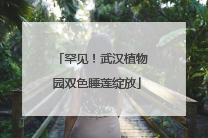 罕见！武汉植物园双色睡莲绽放