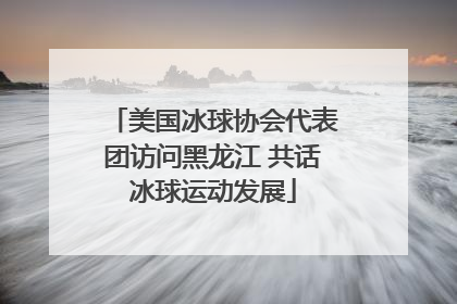 美国冰球协会代表团访问黑龙江 共话冰球运动发展