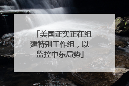 美国证实正在组建特别工作组，以监控中东局势