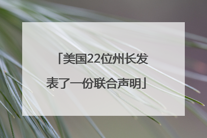 美国22位州长发表了一份联合声明