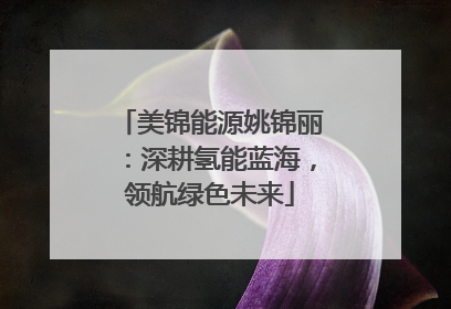 美锦能源姚锦丽：深耕氢能蓝海，领航绿色未来