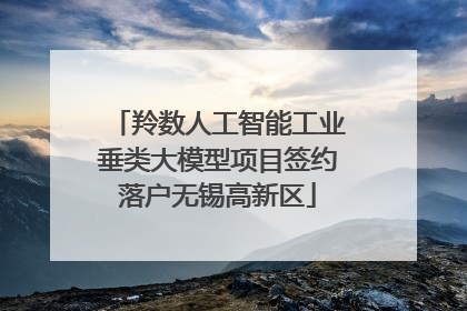 羚数人工智能工业垂类大模型项目签约落户无锡高新区