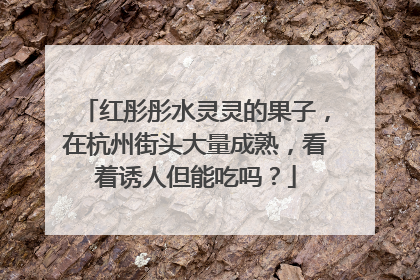 红彤彤水灵灵的果子，在杭州街头大量成熟，看着诱人但能吃吗？