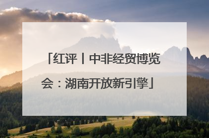 红评丨中非经贸博览会：湖南开放新引擎