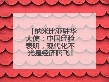 纳米比亚驻华大使：中国经验表明，现代化不光是经济腾飞