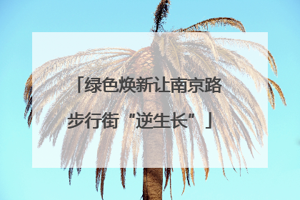 绿色焕新让南京路步行街“逆生长”