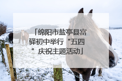 绵阳市盐亭县富驿初中举行“五四”庆祝主题活动