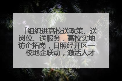 组织进高校送政策、送岗位、送服务，高校实地访企拓岗，日照经开区——校地企联动，激活人才发展“引擎”
