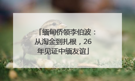 缅甸侨领李伯波：从淘金到扎根，26年见证中缅友谊