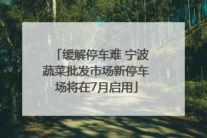 缓解停车难 宁波蔬菜批发市场新停车场将在7月启用
