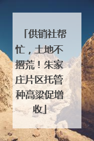 供销社帮忙，土地不撂荒！朱家庄片区托管种高粱促增收