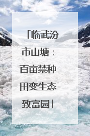 临武汾市山塘：百亩禁种田变生态致富园