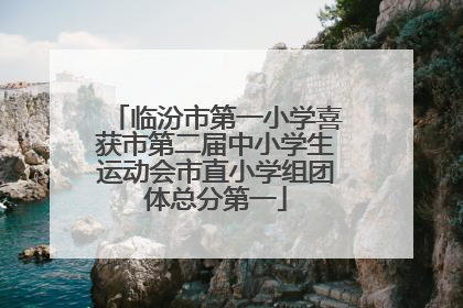 临汾市第一小学喜获市第二届中小学生运动会市直小学组团体总分第一