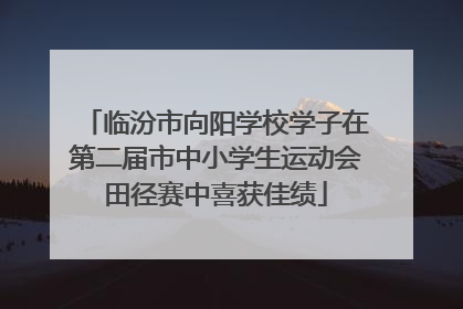 临汾市向阳学校学子在第二届市中小学生运动会田径赛中喜获佳绩