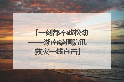 一刻都不敢松劲——湖南桑植防汛救灾一线直击