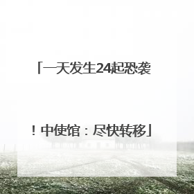 一天发生24起恐袭！中使馆：尽快转移