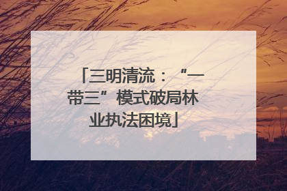 三明清流：“一带三”模式破局林业执法困境