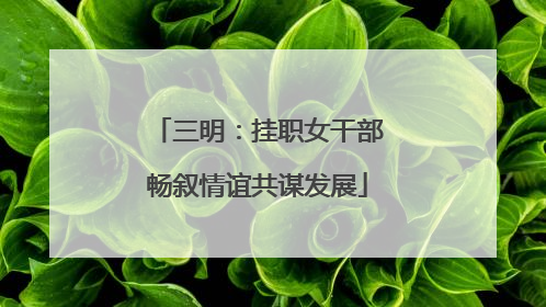三明：挂职女干部畅叙情谊共谋发展