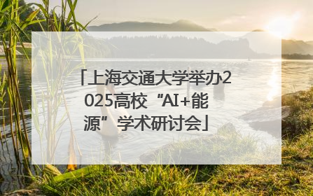 上海交通大学举办2025高校“AI+能源”学术研讨会