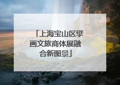上海宝山区擘画文旅商体展融合新图景