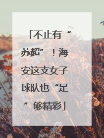 不止有“苏超”！海安这支女子球队也“足”够精彩
