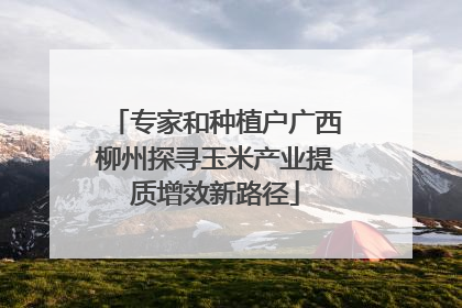 专家和种植户广西柳州探寻玉米产业提质增效新路径