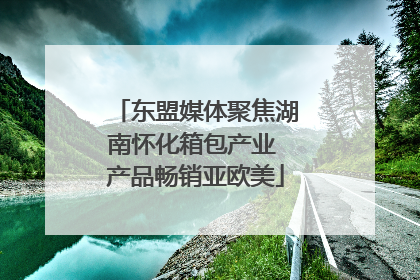 东盟媒体聚焦湖南怀化箱包产业 产品畅销亚欧美