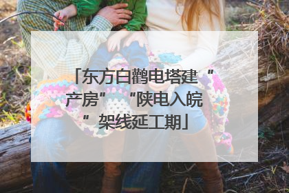 东方白鹳电塔建“产房” “陕电入皖”架线延工期