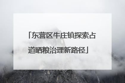 东营区牛庄镇探索占道晒粮治理新路径