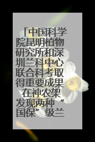 中国科学院昆明植物研究所和深圳兰科中心联合科考取得重要成果 在神农架发现两种“国保”级兰花