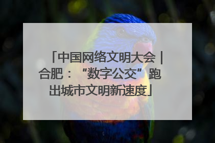 中国网络文明大会｜合肥：“数字公交”跑出城市文明新速度